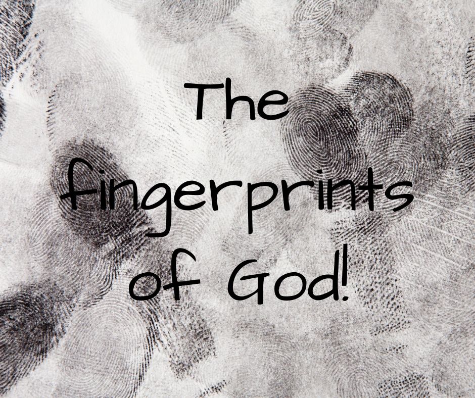 The Fingerprints of God The Fingerprints of God
